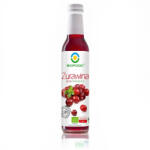 Bio Food bio tőzegáfonya szirup 250 ml