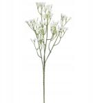 Goliat Fehér Gipszkarton Ág Virágkompozíciókhoz 60cm Nád Kiegészítő (GIP-60)