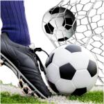 Red Garden Focilabda Láblabda Fekete-fehér Varrott Foltos (Piłka do nogi piłka nożna 5)