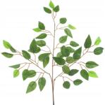 Goliat Levél Ág Tripla Beniamin Zöld Színű 60CM Kompozíció Kiegészítő (LISCBENIAMIN3)