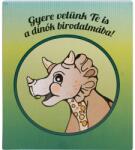 Retoys Dinoszauruszos gipszkiöntő készlet Ajánlott 6-10 éves korig unisex (30176)