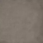 Panariagroup Ceramiche Járólap, Panaria Uni 60x60 Braun rekt. (206A) - zuhanykabin