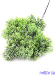  Műzöld vörösfenyő ág - Hamvas