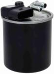 VAICO Filtru combustibil VAICO V30-4529 (V30-4529)