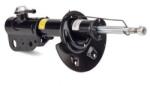 Arnott Amortizor Arnott SK-2952 (SK-2952)