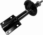 VAICO Amortizor VAICO V24-0160 (V24-0160)