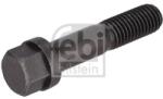 Febi Bilstein Surub, disc frana FEBI BILSTEIN 198998 (198998) - fixbox