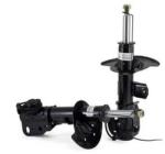 Arnott Amortizor Arnott SK-2167 (SK-2167)