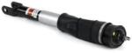 Arnott Amortizor Arnott MR-3439 (MR-3439)