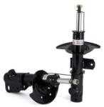 Arnott Amortizor Arnott SK-2183 (SK-2183)