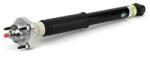 Arnott Amortizor Arnott SK-3382 (SK-3382)
