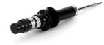 Arnott Amortizor Arnott MR-3437 (MR-3437)