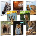 Ars Una A5-ös szótár füzet - Máté Bence Mix (53164490)