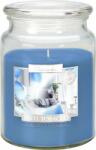 BISPOL Aura Maxi anti tobacco 500 g