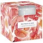 BISPOL Red fruits & aloe 100 g
