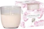 BISPOL Cherry blossom & amber 100 g