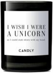 Candly I wish I were a unicorn 250 g