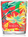 BAÏJA Tangerine Fizz 75 g
