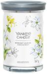 Yankee Candle Midnight Jasmine Tumbler 567 g
