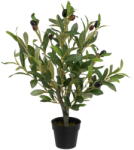 Casa Selección Olajfa műnövény - Casa Selección