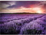 Wallity Kép 100x70 cm Lavender Field - Wallity