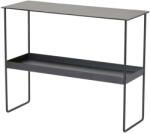 LIND DNA Fekete fém konzolasztal 29x78 cm Bull - LIND DNA