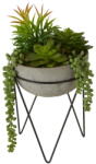 Premier Housewares Suculent műnövény (magasság 36 cm) Fiori - Premier Housewares