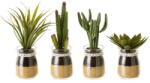 Casa Selección Műnövény szett 4 db-os (magasság 18 cm) Cactus - Casa Selección