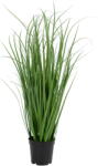 House Nordic Fű műnövény (magasság 68 cm) Poa - House Nordic