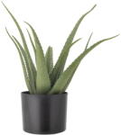 Bloomingville Műnövény (magasság 61 cm) Aloe - Bloomingville