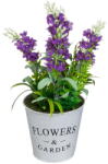 Casa Selección Levendula műnövény (magasság 30 cm) Lavender - Casa Selección