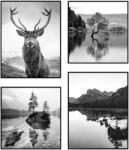 knor Kép szett 4 db-os 30x40 cm Wild