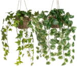 Casa Selección Műnövény szett 2 db-os (magasság 50 cm) - Casa Selección