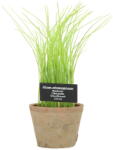 Esschert Design Műnövény (magasság 27 cm) Chives - Esschert Design