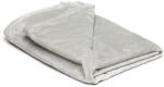 My House Világosszürke mikroplüss takaró, 150 x 200 cm - My House