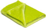 My House Világoszöld mikroplüss takaró, 150 x 200 cm - My House