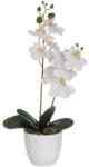 Casa Selección Művirág (magasság 39 cm) Orchid - Casa Selección