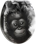 WENKO Ape WC-ülőke, 44, 5 x 36, 5 cm - Wenko