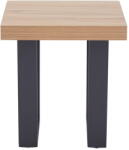 Premier Housewares Tárolóasztal 50x50 cm Oakton - Premier Housewares