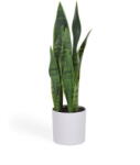 Kave Home Műnövény (magasság 55 cm) Sansevieria - Kave Home