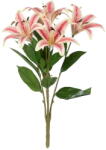 Ixia Művirág (magasság 58 cm) Lily - Ixia