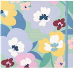 Busy B Születésnapi jegyzetfüzet 12 old. - Busy B