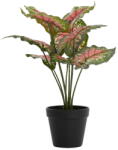 Light & Living Műnövény (magasság 40 cm) Caladium - Light & Living