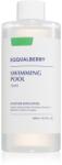 EQQUALBERRY Swimming Pool Toner tonic hidratant cu efect de exfoliere 300 ml