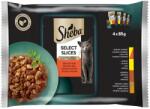 Sheba Mini 6x50g Fresh cuisine Paris Multipack - grandopet