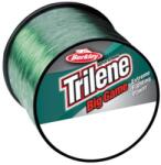 Berkley Berkley Monofilament Trilene Big Game Green 1000m 0, 33mm