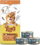 Versele-Laga VERSELE-LAGA Lara Adult Turkey & Chicken 12, 5 kg - felnőtt macskáknak készült táplálék pulykával és csirkével + WILD FARM Mousse Chicken 3x85 g