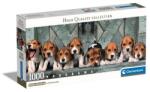 Clementoni Puzzle 1000 db Panorama - Beagles (kompakt doboz) (CL39869) - liliputjatek