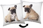 Jerry Fabrics Детска възглавница 40x40 cm Bulldog - Jerry Fabrics (24CS091)