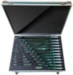 INSIZE Set 12 micrometre mecanice INSIZE 0-300 mm, rezolutie 0, 01 mm, cu clichet (3203-3012A)